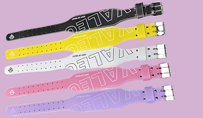 Valeo II belts